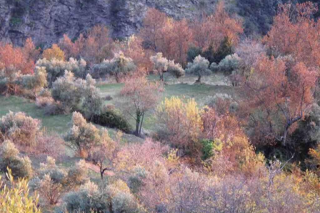 Casa Carmela, Rural House With Spectacular Views, In An Exquisite Area Villa Atalbeitar Eksteriør bilde