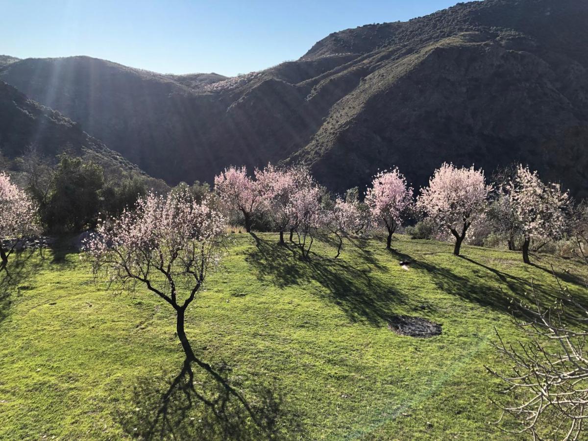 Casa Carmela, Rural House With Spectacular Views, In An Exquisite Area Villa Atalbeitar Eksteriør bilde