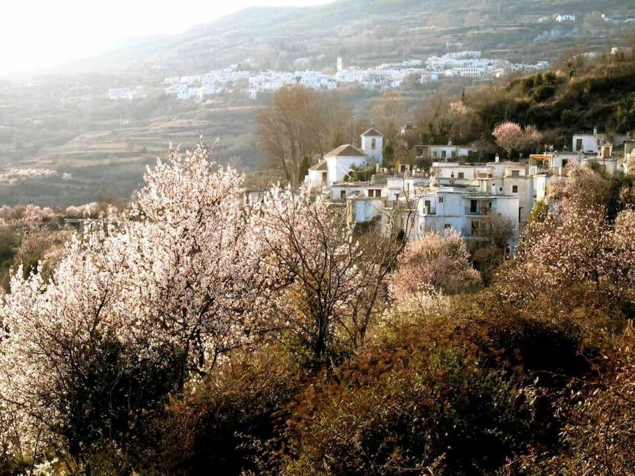 Casa Carmela, Rural House With Spectacular Views, In An Exquisite Area Villa Atalbeitar Eksteriør bilde