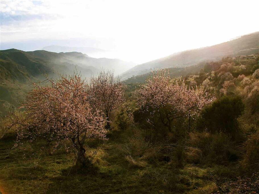 Casa Carmela, Rural House With Spectacular Views, In An Exquisite Area Villa Atalbeitar Eksteriør bilde