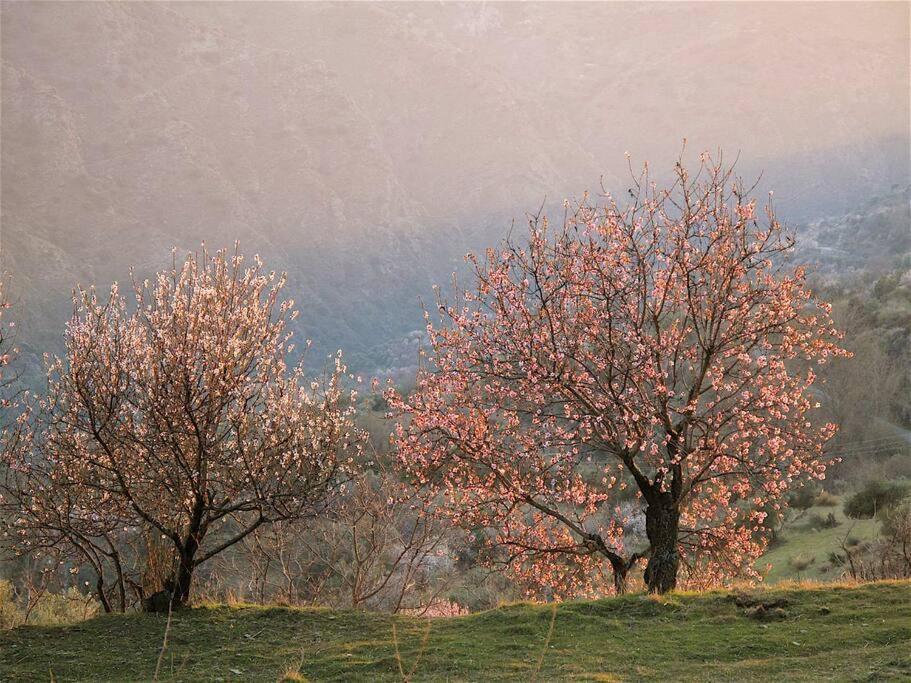 Casa Carmela, Rural House With Spectacular Views, In An Exquisite Area Villa Atalbeitar Eksteriør bilde