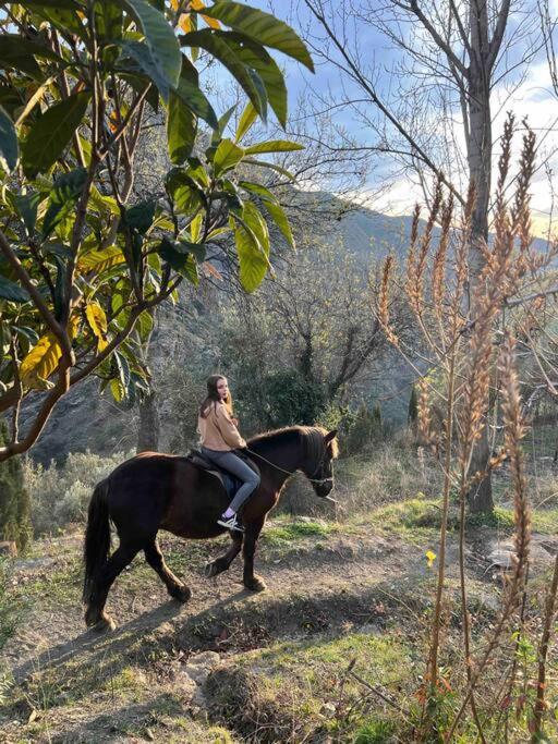 Casa Carmela, Rural House With Spectacular Views, In An Exquisite Area Villa Atalbeitar Eksteriør bilde